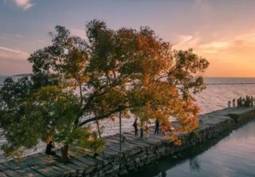 蘇州高溫天氣怎么預(yù)防中暑?2024年蘇州7月份熱還是8月份熱 蘇州高溫天氣怎么預(yù)防中暑?2024年蘇州7月份熱還是8月份熱