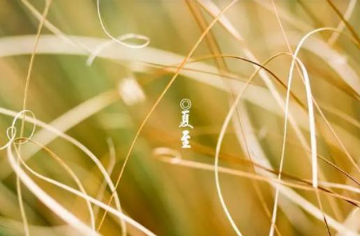 ����֮�������ʲô׃���������^��ҹ�L����ʲô׃��