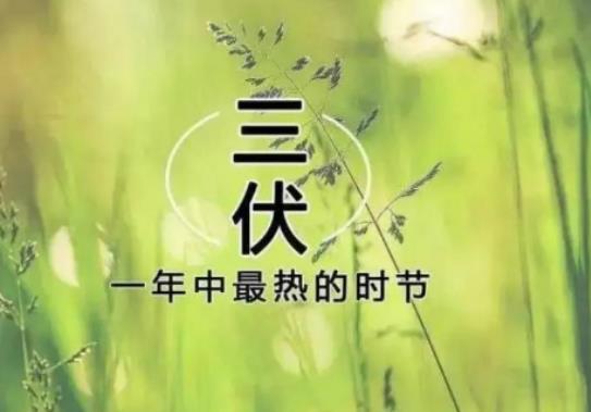 2024初伏中伏末伏分別是幾月幾日?2024三伏天是30天還是40天 2024初伏中伏末伏分別是幾月幾日?2024三伏天是30天還是40天