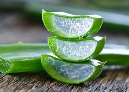 新鮮蘆薈擦臉為什么會刺痛?新鮮蘆薈擦臉不洗可以嗎 新鮮蘆薈擦臉為什么會刺痛?新鮮蘆薈擦臉不洗可以嗎