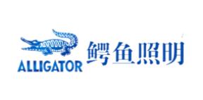 十大雙頭筒燈品牌排行榜,歐普照明雙頭筒燈、雷士雙頭筒燈用戶體驗好 十大雙頭筒燈品牌排行榜,歐普照明雙頭筒燈、雷士雙頭筒燈用戶體驗好