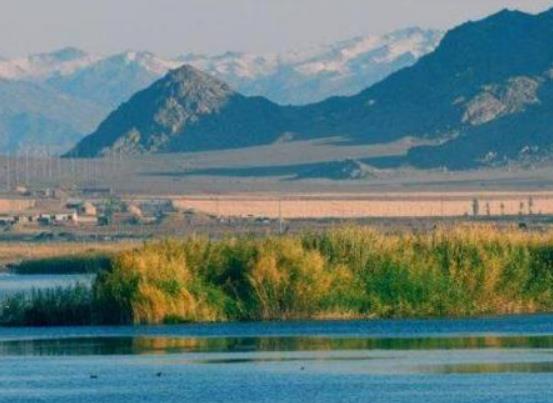 可可托海在伊犁嗎?新疆伊犁花海在哪 可可托海在伊犁嗎?新疆伊犁花海在哪