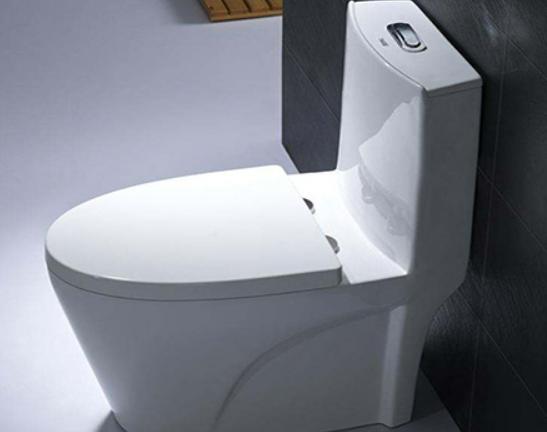 十大坐便器排行榜,TOTO坐便器很時(shí)尚、科勒坐便器讓你用得更安心 十大坐便器排行榜,TOTO坐便器很時(shí)尚、科勒坐便器讓你用得更安心