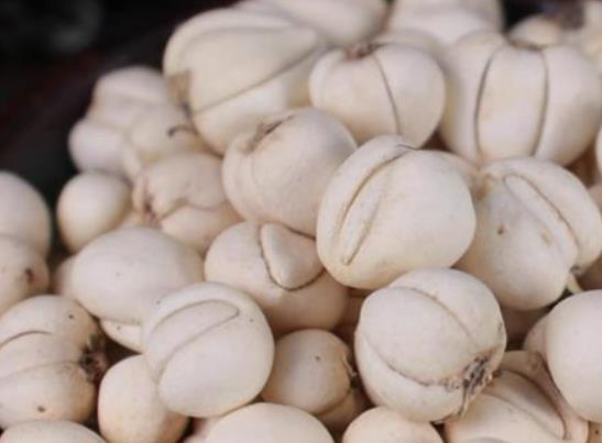 川貝枇杷膏什么時候吃?川貝枇杷膏有哪些成分 川貝枇杷膏什么時候吃?川貝枇杷膏有哪些成分