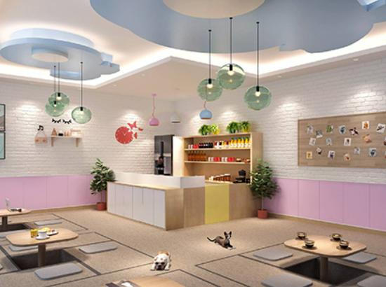 十大寵物店品牌排行榜,大嘴狗寵物店、小佩寵物寵物店治愈率很高 十大寵物店品牌排行榜,大嘴狗寵物店、小佩寵物寵物店治愈率很高