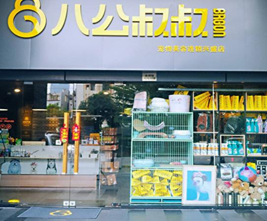 十大寵物店品牌排行榜,大嘴狗寵物店、小佩寵物寵物店治愈率很高 十大寵物店品牌排行榜,大嘴狗寵物店、小佩寵物寵物店治愈率很高