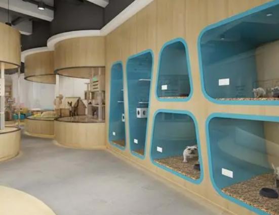 十大寵物店品牌排行榜,大嘴狗寵物店、小佩寵物寵物店治愈率很高 十大寵物店品牌排行榜,大嘴狗寵物店、小佩寵物寵物店治愈率很高