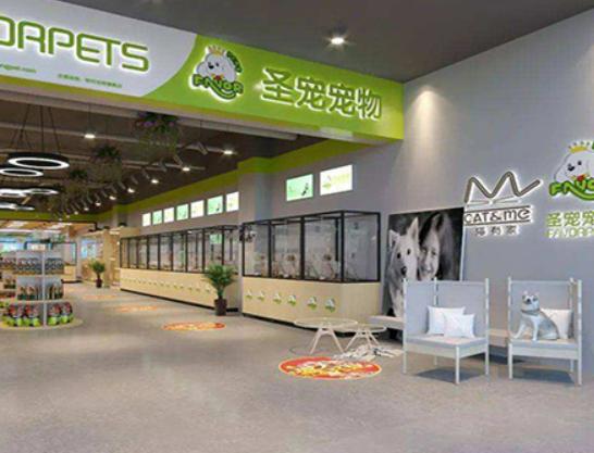 十大寵物店品牌排行榜,大嘴狗寵物店、小佩寵物寵物店治愈率很高 十大寵物店品牌排行榜,大嘴狗寵物店、小佩寵物寵物店治愈率很高