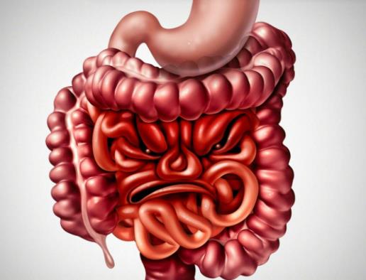 ԽY(ji)c᣿ԽY(ji)c׵Ĳʲô