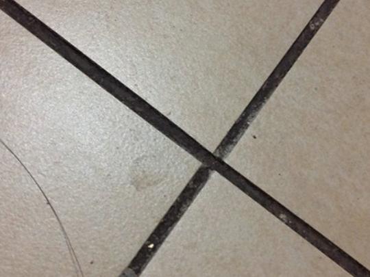 ʮ��ɴu���p��Ʒ�����а����ٵôɴu���p�����¸ߴɴu���p���|(zh��)�кܺ�