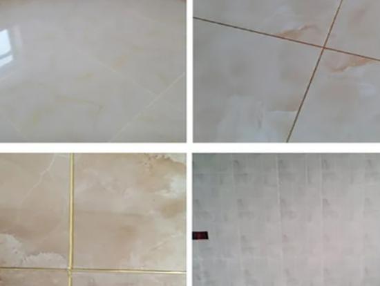 ʮ��ɴu���p��Ʒ�����а����ٵôɴu���p�����¸ߴɴu���p���|(zh��)�кܺ�