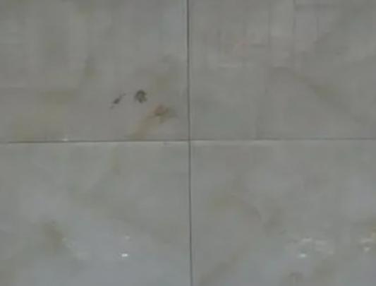 ʮ��ɴu���p��Ʒ�����а����ٵôɴu���p�����¸ߴɴu���p���|(zh��)�кܺ�