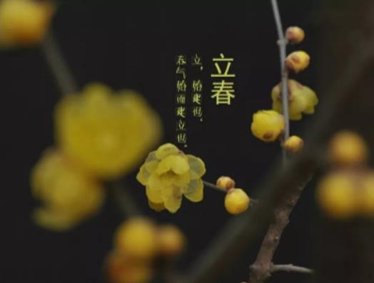 2025年立春是什么時(shí)間幾點(diǎn)幾分幾秒?2025年有春還是無春 2025年立春是什么時(shí)間幾點(diǎn)幾分幾秒?2025年有春還是無春