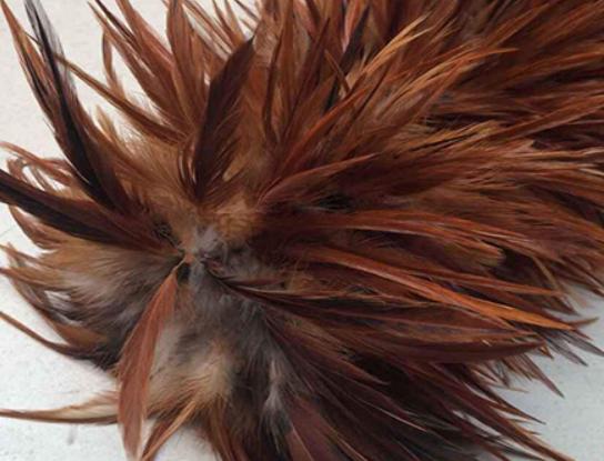 十大雞毛撣子品牌排行,茶花雞毛撣子知名度高、妙潔雞毛撣子深入人心 十大雞毛撣子品牌排行,茶花雞毛撣子知名度高、妙潔雞毛撣子深入人心