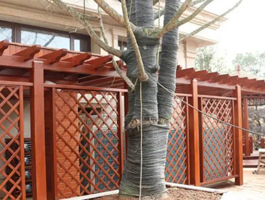 十大防腐木品牌排行榜,名兔防腐木是行業標桿、豐勝防腐木技術領先 十大防腐木品牌排行榜,名兔防腐木是行業標桿、豐勝防腐木技術領先