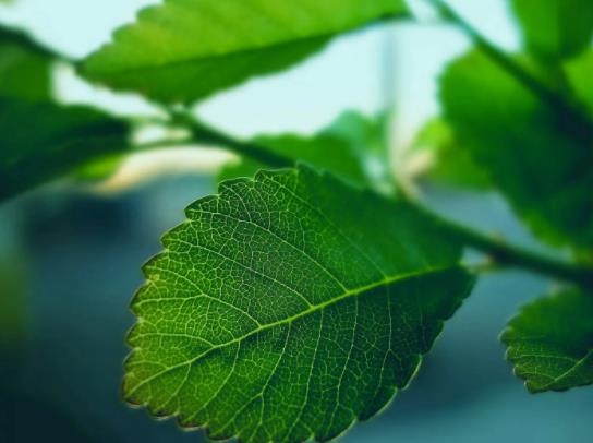 2022年6月有多少個工作日?2022年6月有法定節假日嗎