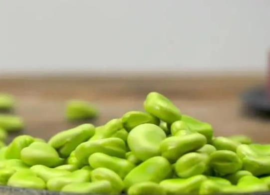 五月份能種植蠶豆嗎?蠶豆為什么養(yǎng)著養(yǎng)著葉子就變黃了