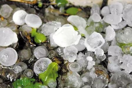 下冰雹是繼續(xù)開(kāi)車(chē)還是停下來(lái)1