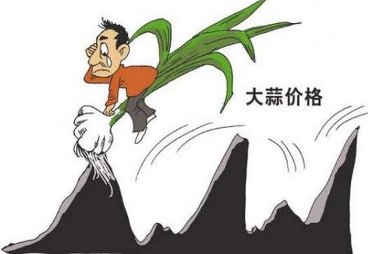 蒜你狠是什么意思?網(wǎng)絡用語蒜你狠的來源 大蒜漲價原因