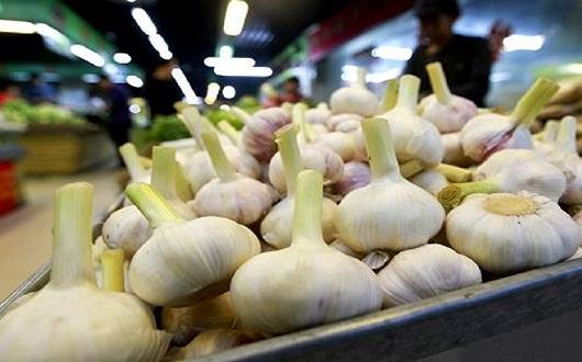 蒜你狠是什么意思?網(wǎng)絡用語蒜你狠的來源 大蒜漲價原因